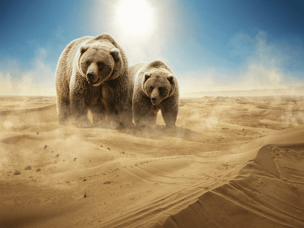 Generated regional image with two grizzly bears in the selected area